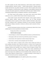 Vadybos tyrimo proceso organizavimas 7 puslapis