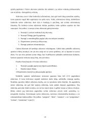 Vadybos tyrimo proceso organizavimas 10 puslapis