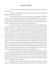 Vadovavimas ir vadovo savybės bei veikla 2 puslapis