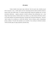 Vadovavimas ir vadovo savybės bei veikla 12 puslapis