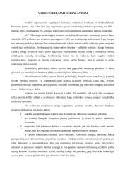 Vadovavimas ir vadovo savybės bei veikla 4 puslapis