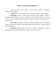 Vadovavimas ir vadovo savybės bei veikla 7 puslapis