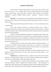 Vadovavimas ir vadovo savybės bei veikla 8 puslapis