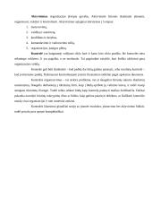 Vadovavimas ir vadovo savybės bei veikla 9 puslapis