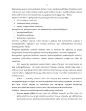 Vadovavimo svarbos pagrindimas 5 puslapis