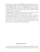 Vadovavimo svarbos pagrindimas 10 puslapis