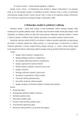 Vadovavimas, vadovavimo funkcijos 11 puslapis