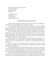 Vadovavimas, vadovavimo stiliai 6 puslapis