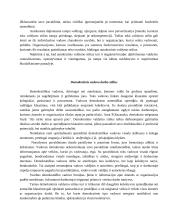 Vadovavimas, vadovavimo stiliai 7 puslapis