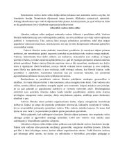 Vadovavimas, vadovavimo stiliai 8 puslapis