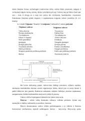 Vadovavimo etikos samprata 11 puslapis