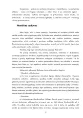 Vadovavimo etikos samprata 13 puslapis