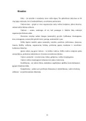 Vadovavimo etikos samprata 15 puslapis