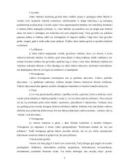 Vadovavimo etikos samprata 5 puslapis