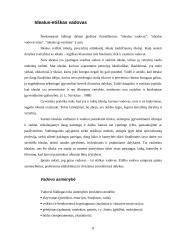 Vadovavimo etikos samprata 8 puslapis