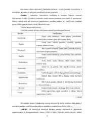 Vadovavimo etikos samprata 9 puslapis