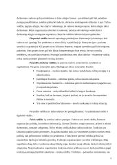 Vadovavimo metodai 5 puslapis