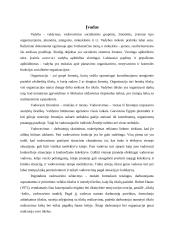 Vadovavimo stiliaus samprata 2 puslapis
