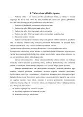 Vadovavimo stiliaus samprata 3 puslapis