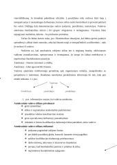 Vadovavimo stiliaus samprata 5 puslapis