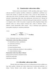 Vadovavimo stiliaus samprata 6 puslapis