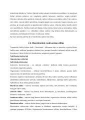 Vadovavimo stiliaus samprata 7 puslapis