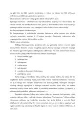 Vadovavimo stiliaus samprata 8 puslapis