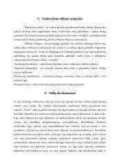 Vadovavimo stiliaus samprata 9 puslapis
