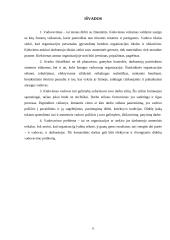 Vadovavimo stiliai ir jų analizė 10 puslapis