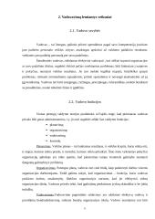Vadovavimo stiliai ir jų analizė 5 puslapis