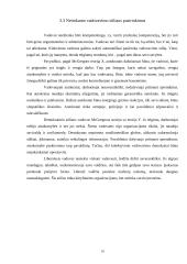 Vadovavimo stiliai ir jų analizė 9 puslapis