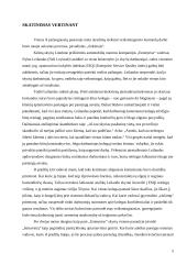 Vadovavimo tobulinimo galimybės organizacijoje 5 puslapis