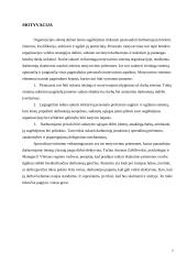 Vadovavimo tobulinimo galimybės organizacijoje 7 puslapis