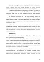 Vadovo atranka ir vadovo savybės 19 puslapis