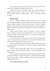 Vadovo atranka ir vadovo savybės 9 puslapis