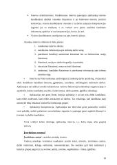 Vadovo atranka ir vadovo savybės 10 puslapis