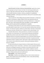 Vadovo dalykinis bendravimas 2 puslapis