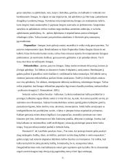 Vadovo dalykinis bendravimas 11 puslapis