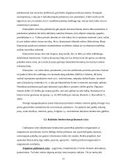 Vadovo dalykinis bendravimas 13 puslapis