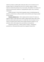 Vadovo dalykinis bendravimas 14 puslapis