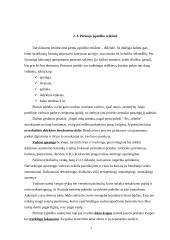 Vadovo dalykinis bendravimas 7 puslapis