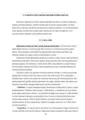 Vadovo dalykinis bendravimas 10 puslapis