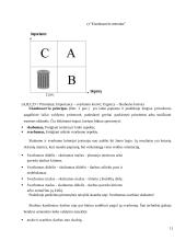 Vadovo darbo organizavimas 11 puslapis
