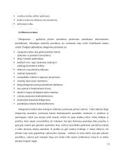 Vadovo darbo organizavimas 12 puslapis