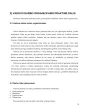 Vadovo darbo organizavimas 14 puslapis