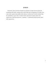 Vadovo darbo organizavimas 3 puslapis