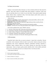 Vadovo darbo organizavimas 6 puslapis