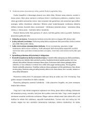Vadovo darbo organizavimas 7 puslapis