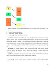 Vadovo darbo organizavimas 10 puslapis