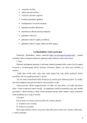 Efektyvaus ir šiuolaikiško vadovo darbo organizavimas 4 puslapis
